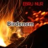 Ebru Nur — Birdenem
