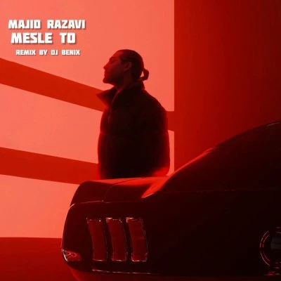 Majid Razavi