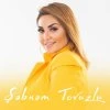 Terlan Novkhani, Sebnem Tovuzlu — No news 2020
