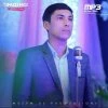 Habib Akbarov — Sog’indim