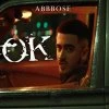 ABBBOSE — Ok