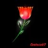 Cvetocek7 — Седая ночь