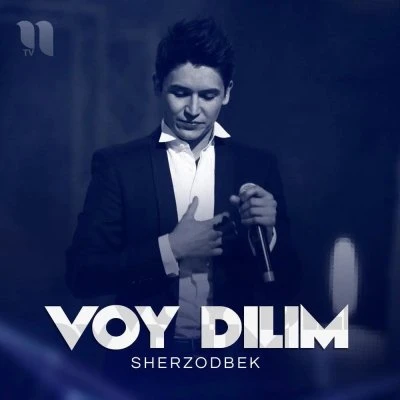 Sherzod Bek — Voy dilim Bechora dilim