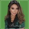 Dilnoz — Yangi qo’shiq (Baxtlimiz)