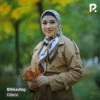 Dilso'z — Bilmading