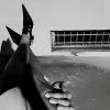 Zivert — мутки