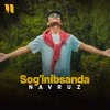 Navruz — Sog’inibsanda