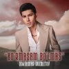 Xojiakbar Ruzmetov — Ko'rmasam bo'lmas