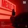 Majid Razavi — Mesle To
