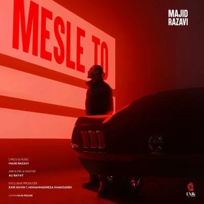 Majid Razavi — Mesle To