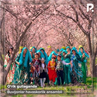 Buvijonlar havaskorlik ansambli — O'rik gullaganda