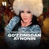 Dilafruz Hayitmetova — Go'zzingdan aynonin