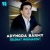 Dilshat Nurmatov — Adyngda barmy
