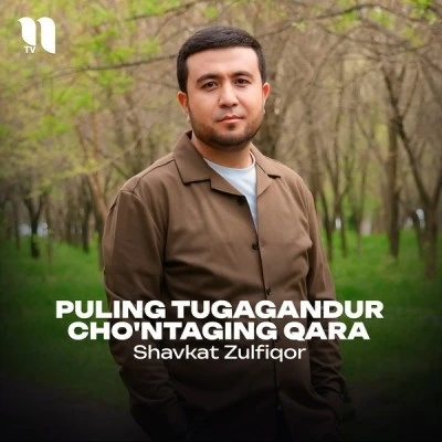 Shavkat Zulfiqor — Puling tugagandur cho'ntaging qara