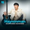 Shahzodbek Rahmonov — Hayronman